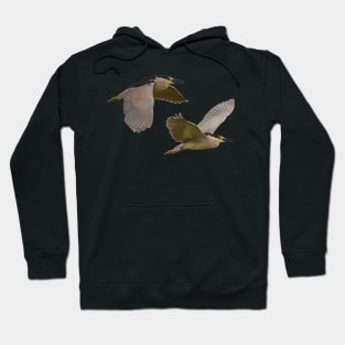 Black Crowned  Night Herons in Flight Hoodie